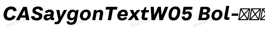 CASaygonTextW05 Bol字体转换
